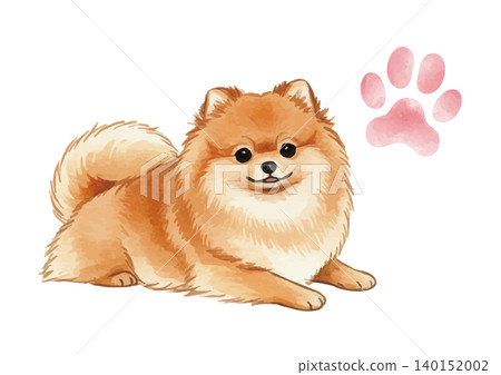 Watercolor-style illustration of a Pomeranian's paw prints Watercolor-style illustration of a Pomeranian's paw prints 140152002