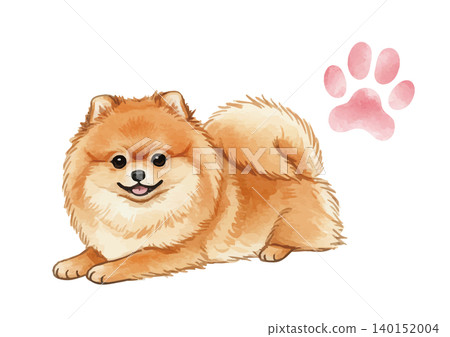 Watercolor-style illustration of a Pomeranian's paw prints 140152004