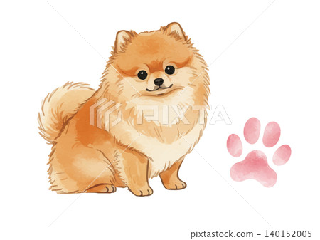 Watercolor-style illustration of a Pomeranian's paw prints 140152005