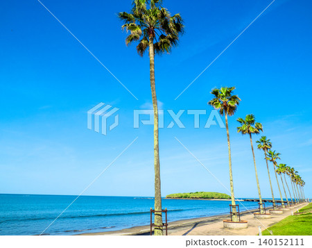 Aoshima Beach and Aoshima Island (Miyazaki City, Miyazaki Prefecture) Aoshima Beach and Aoshima Island (Miyazaki City, Miyazaki Prefecture) 140152111