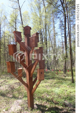 There are many birdhouses on the tree. Housing for birds There are many birdhouses on the tree. Housing for birds 140152291