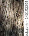 Close-up of tree bark. textured background 140152296