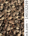Spruce cones are collected in a heap. Close-up 140152299