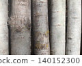 Birch tree trunks close-up Nature 140152300
