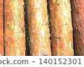 Pine trunks lying nearby close-up 140152301