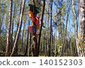 Birdhouses in the forest. Bird shelter 140152303