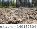 A plowed field in the forest. Preparation for planting a forest 140152304