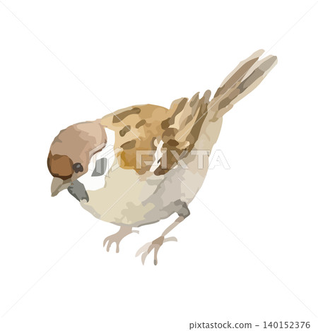 麻雀的水彩風格插圖 麻雀的水彩風格插圖 140152376