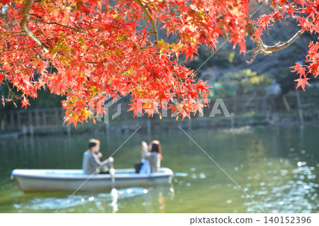 Autumn leaves Inokashira Park Autumn leaves Inokashira Park 140152396