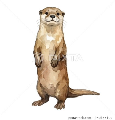 Watercolor-style illustration of an otter Watercolor-style illustration of an otter 140153199