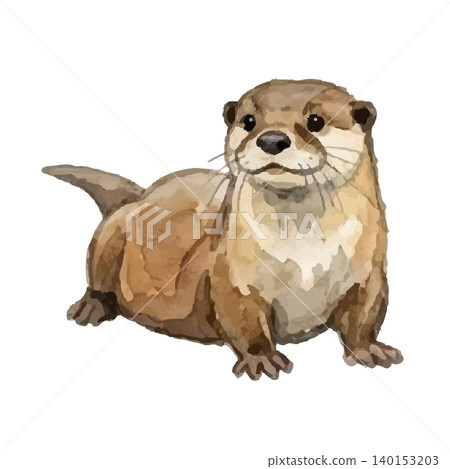 水彩風格的水獺插圖 140153203