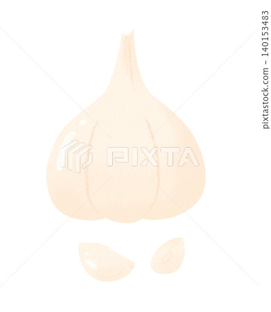 Illustration of garlic 140153483