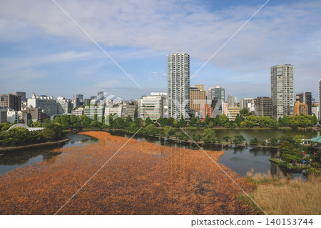 April 25 2026 Shinobazuno Pond Surrounded By Urban Tokyo Skyline April 25 2026 Shinobazuno Pond Surrounded By Urban Tokyo Skyline 140153744