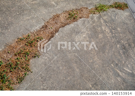 parking place, dying, wither 140153914