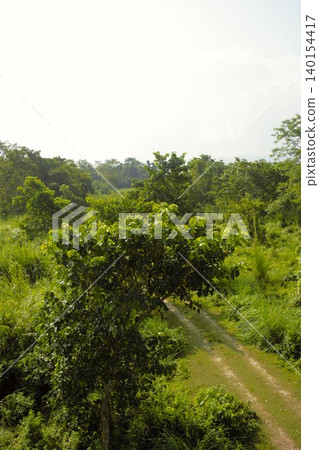 Trekking routes in Chitwan National Park, Nepal 140154417