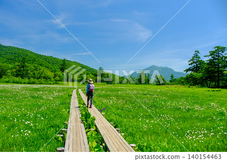 Female hiker walking on a wooden path Female hiker walking on a wooden path 140154463