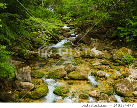 苗場湯之澤川的清澈河水流經茂密的翠綠森林。 苗場湯之澤川的清澈河水流經茂密的翠綠森林。 140154477
