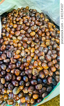 close-up photo of nutmeg, a spice used in traditional Indonesian food and medicine close-up photo of nutmeg, a spice used in traditional Indonesian food and medicine 140154587