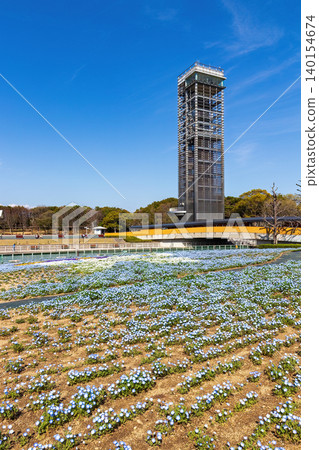 Hamana Lake Garden Park (March, Sunny) Hamana Lake Garden Park (March, Sunny) 140154674
