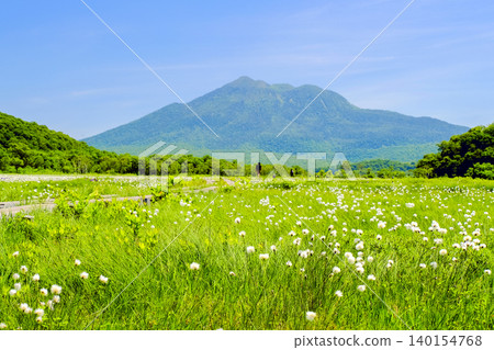 Mount Hiuchigatake and a wetland where cotton grass blooms. Mount Hiuchigatake and a wetland where cotton grass blooms. 140154768