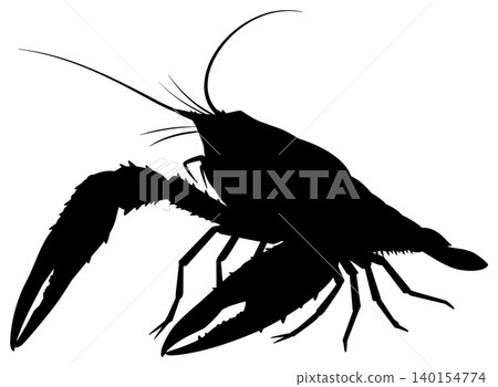 crayfish crayfish 140154774