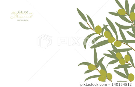 Summer olive illustration. Olive leaf vector material. Green leaf frame. Summer olive illustration. Olive leaf vector material. Green leaf frame. 140154812