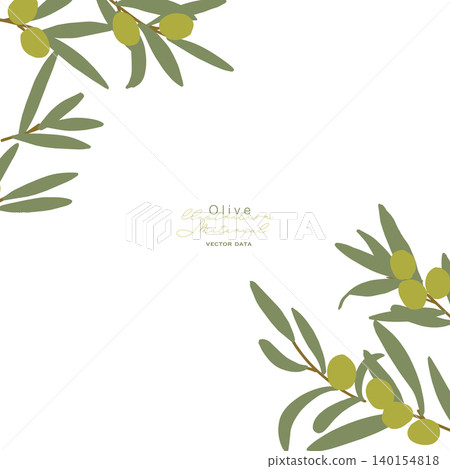Summer olive illustration. Olive leaf vector material. Green leaf frame. 140154818