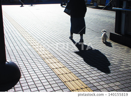 A scene of a sidewalk and pedestrians bathed in strong setting sun (a scene near Kawaguchi Station in Kawaguchi City, Saitama Prefecture). A scene of a sidewalk and pedestrians bathed in strong setting sun (a scene near Kawaguchi Station in Kawaguchi City, Saitama Prefecture). 140155819