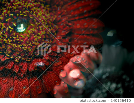 The multiple exposure photos of red gerberas taken in the camera are fantastic and beautiful. 140156410