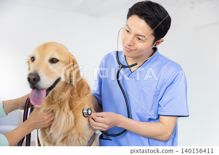 Veterinarian, specializing in treating Golden Retrievers. 140156411