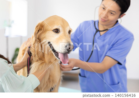 Veterinarian, specializing in treating Golden Retrievers. Veterinarian, specializing in treating Golden Retrievers. 140156416