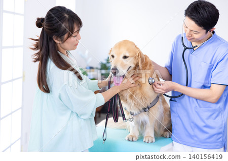 Veterinarian, specializing in treating Golden Retrievers. Veterinarian, specializing in treating Golden Retrievers. 140156419