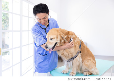 Veterinarian, specializing in treating Golden Retrievers. Veterinarian, specializing in treating Golden Retrievers. 140156465