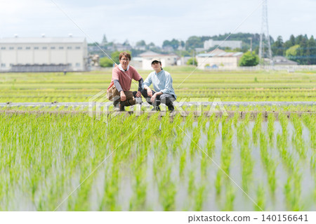 Farmers who provide guidance on rice cultivation Farmers who provide guidance on rice cultivation 140156641