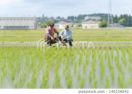 Farmers who provide guidance on rice cultivation Farmers who provide guidance on rice cultivation 140156642