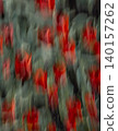 Red Flowers in Soft Motion 140157262