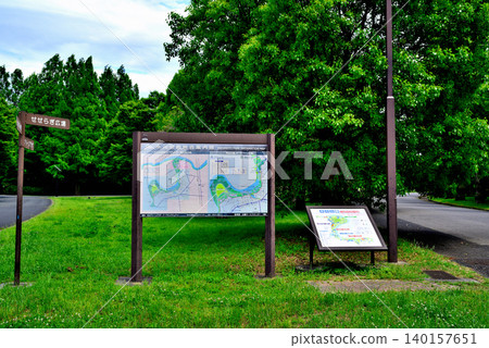 東京都立水本公園：初夏時節的白楊樹景色。 140157651