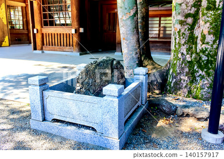 【東京】府中初夏：大國玉神社的龜石 140157917