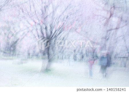 A heartwarming multiple-exposure photograph taken in a park with cherry blossoms in bloom. 140158241