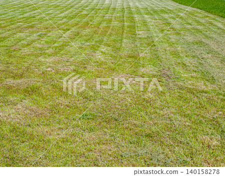Endless texture of a mown green lawn with parallel cut grass lines. Endless texture of a mown green lawn with parallel cut grass lines. 140158278