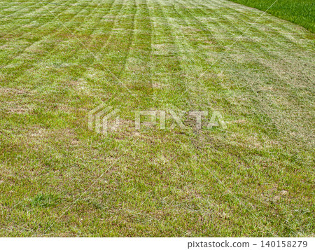 Flat lay art texture of a striped mown lawn with an uncut grass fragment. Flat lay art texture of a striped mown lawn with an uncut grass fragment. 140158279