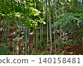 Yugawara Manyo Park Valley 140158481