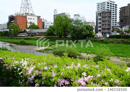 盛岡市，樹木與水之城：中津川（五月） 140158500