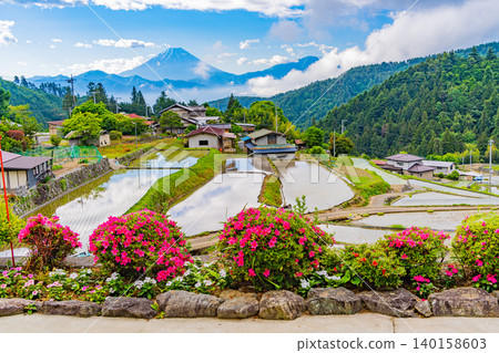 [山梨縣南阿爾卑斯市] 從平林梯田望去，可以看到富士山，那裡杜鵑花盛開。 140158603