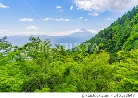 [山梨縣南阿爾卑斯市] 從美麗的櫛形山森林公路望去，富士山在清新的綠色中若隱若現。 140158647