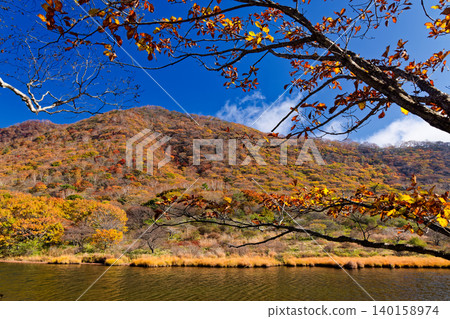 赤城山、角滿淵的紅葉 140158974