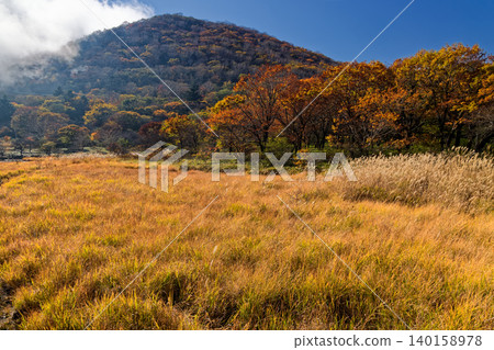 赤城山、角滿淵的紅葉 赤城山、角滿淵的紅葉 140158978