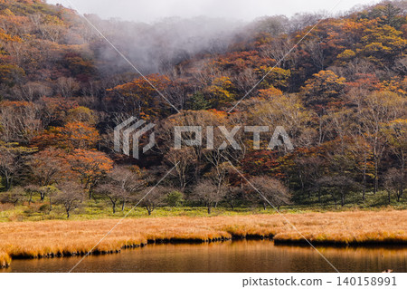 赤城山、角滿淵的紅葉 赤城山、角滿淵的紅葉 140158991