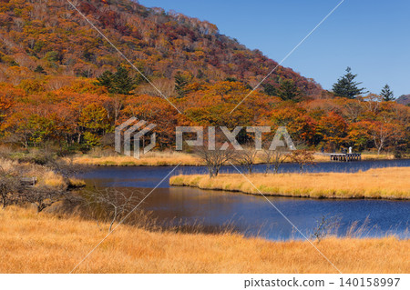 Autumn foliage at Mt. Akagi and Kakumanbuchi 140158997
