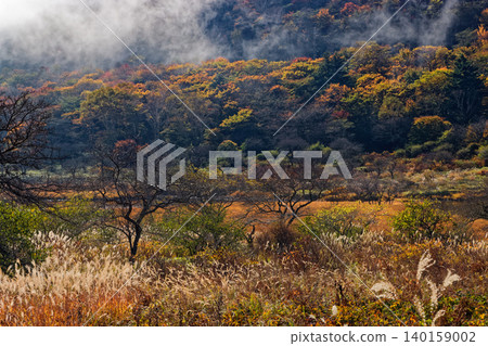 赤城山、角滿淵的紅葉 140159002